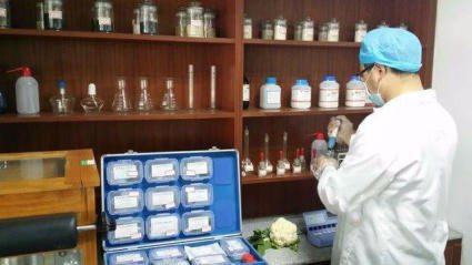 廣州農(nóng)副產(chǎn)品批發(fā)市場 蔬菜配送服務(wù)助力酒店、學(xué)校與工廠需求