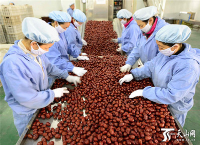 新疆阿拉爾墾區(qū) 紅棗嚴格分級打造品牌，助推農副產品升級